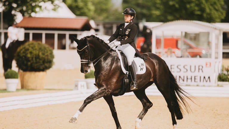 Isabell Werth beim Maimarkt-Turnier in Mannheim mit ihrem Pferd Wendy de Fontaine im Grand Prix Special